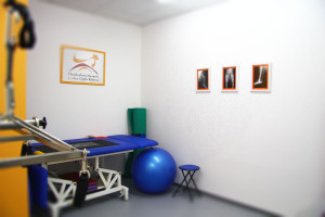 Physiotherapie Hunde Münster